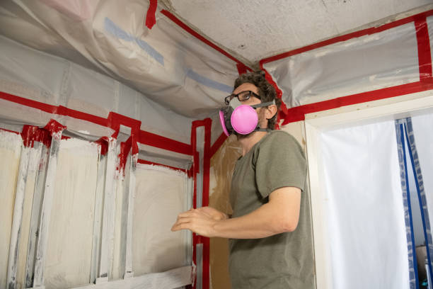 Best Real Estate Mold Inspection  in Luling, TX