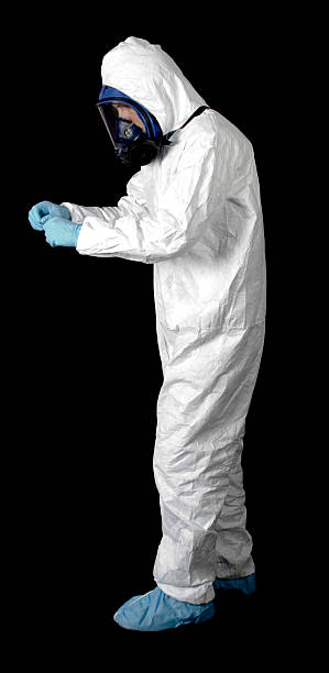 Reliable Luling, TX Mold Removal Solutions